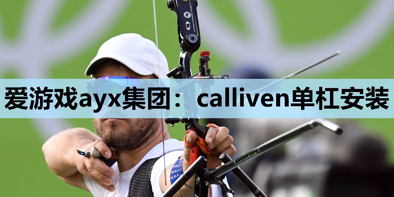 爱游戏ayx集团：calliven单杠安装
