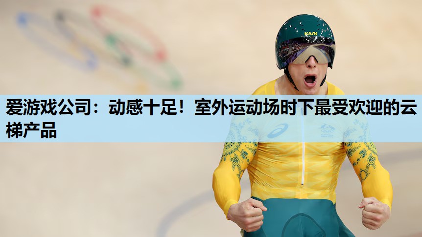 爱游戏公司：动感十足！室外运动场时下最受欢迎的云梯产品