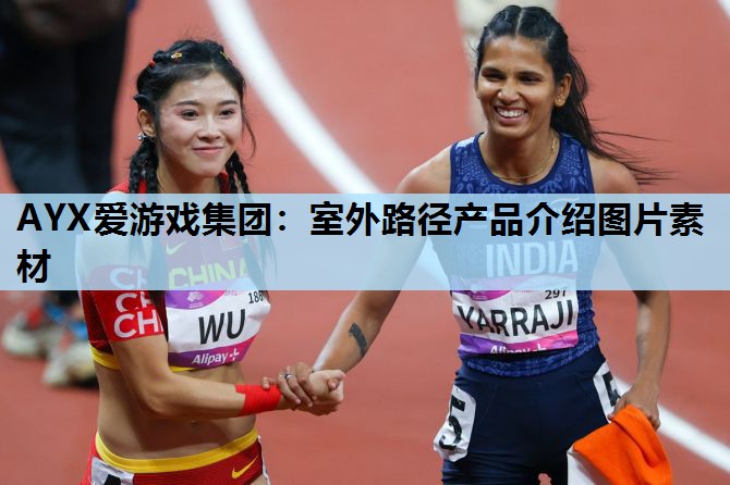 AYX爱游戏集团：室外路径产品介绍图片素材
