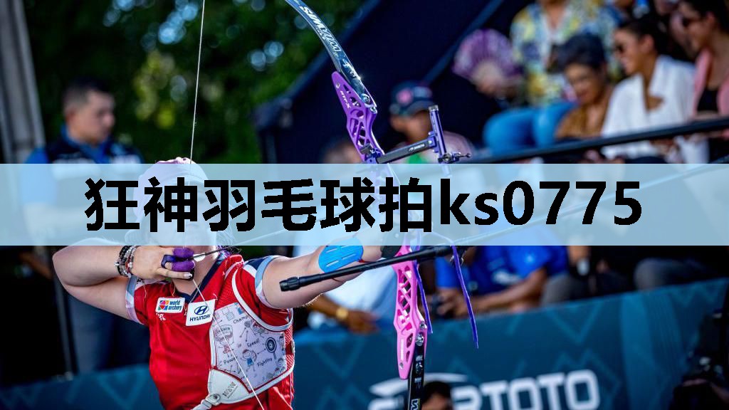 狂神羽毛球拍ks0775