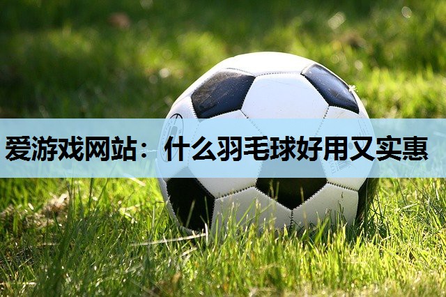 爱游戏网站：什么羽毛球好用又实惠