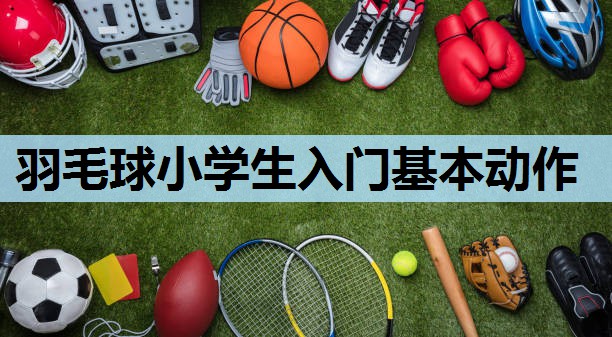 羽毛球小学生入门基本动作