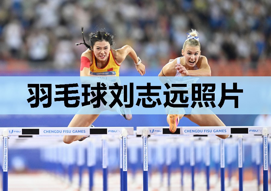 羽毛球刘志远照片
