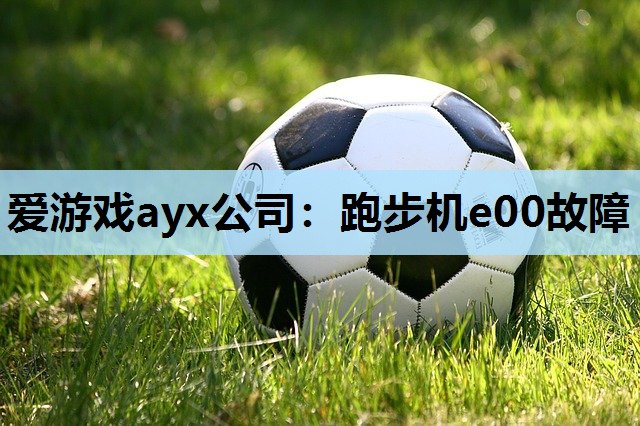 爱游戏ayx公司：跑步机e00故障
