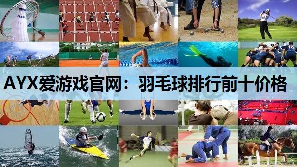AYX爱游戏官网：羽毛球排行前十价格