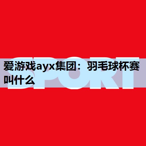 爱游戏ayx集团：羽毛球杯赛叫什么