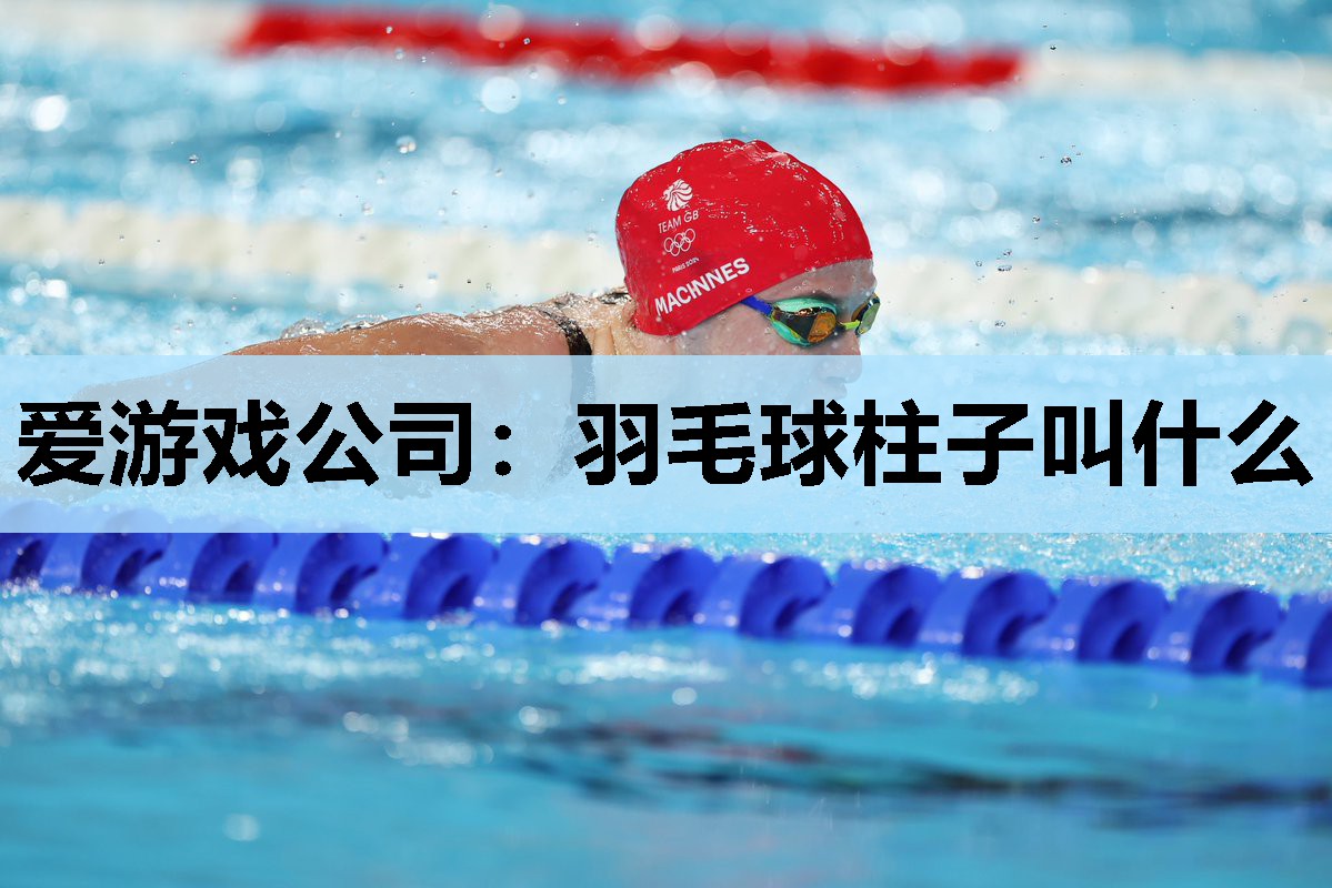 爱游戏公司：羽毛球柱子叫什么