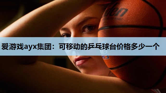 爱游戏ayx集团：可移动的乒乓球台价格多少一个