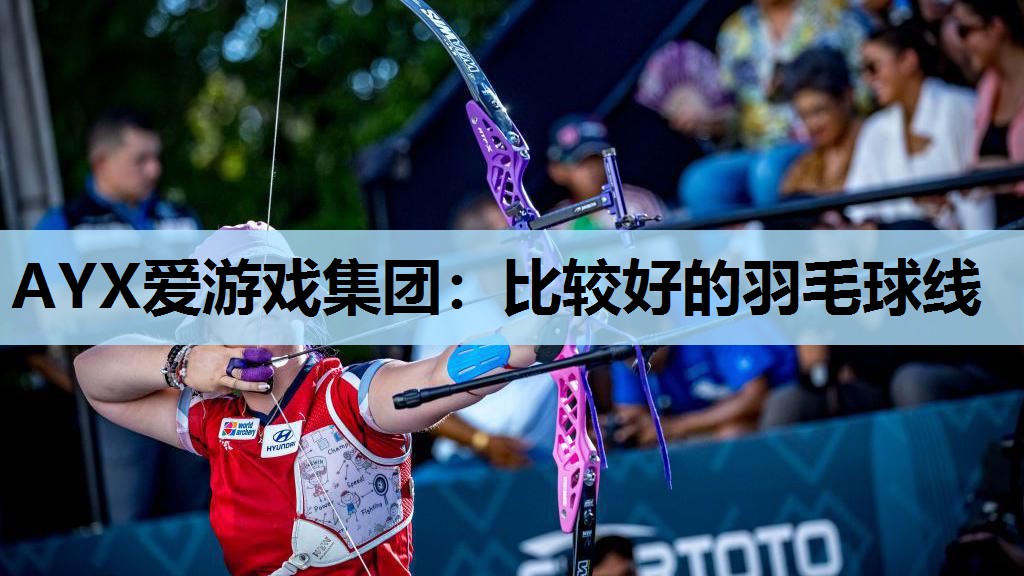 比较好的羽毛球线 比较好的羽毛球线