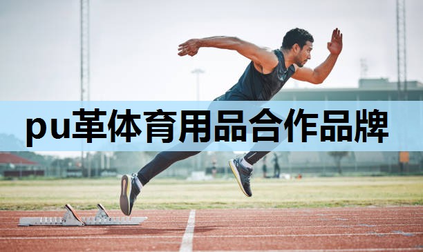 pu革体育用品合作品牌 pu革体育用品合作品牌