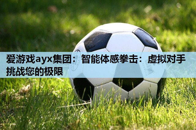 智能体感拳击:虚拟对手挑战您的极限 智能体感拳击:虚拟对手挑战您的极限