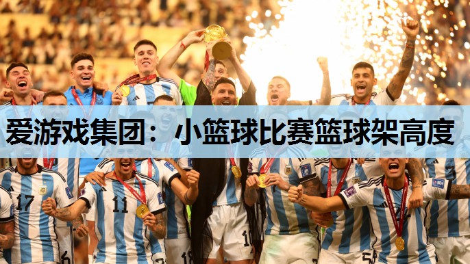 小篮球比赛篮球架高度