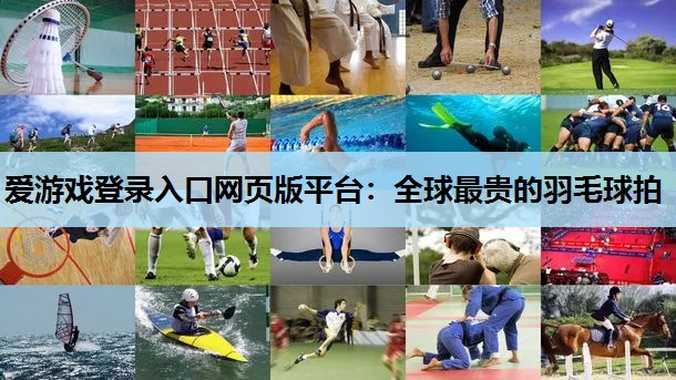 全球最贵的羽毛球拍 全球最贵的羽毛球拍