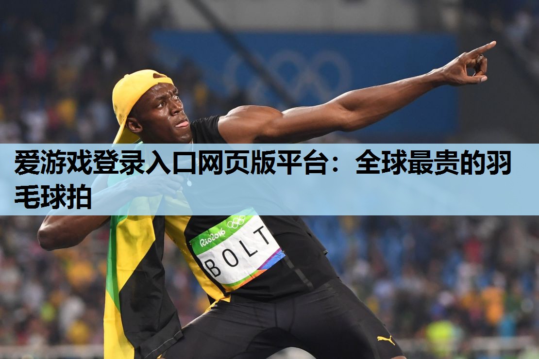 全球最贵的羽毛球拍 全球最贵的羽毛球拍