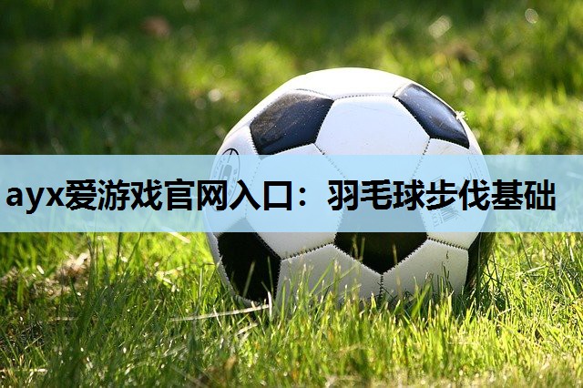 羽毛球步伐基础 羽毛球步伐基础